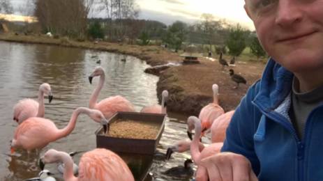 Bird Gardens Scotland