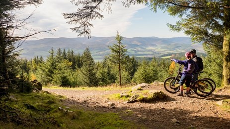 Glentress Forest