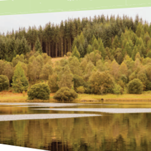 about Carsphairn Community Woodland Carsphairn Community Woodland