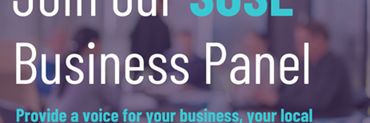 Join our SOSE Business Panel