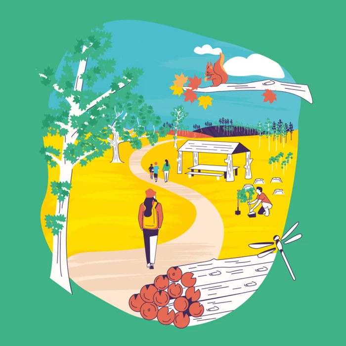 Forestry Cheat Sheet