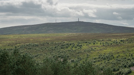 Langholm Moor Copyright David Linternjohn Muir Trust