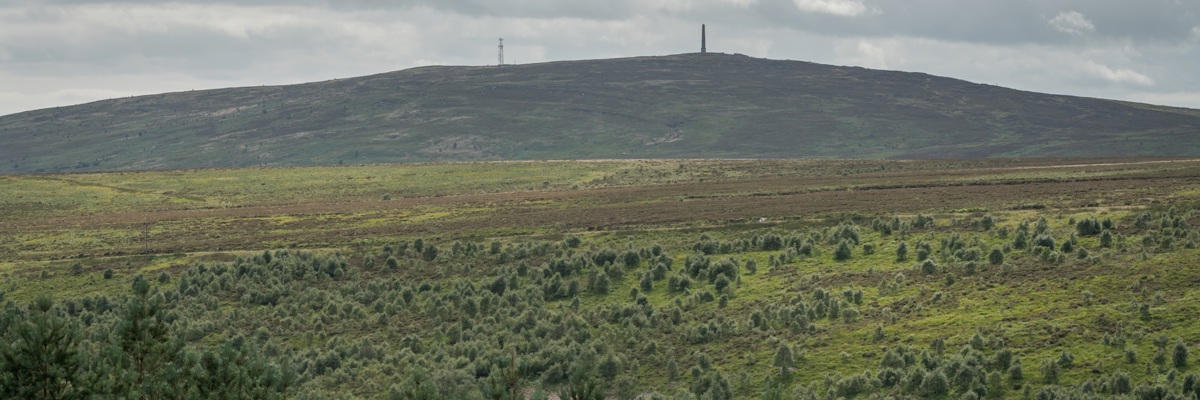 Langholm Moor Copyright David Linternjohn Muir Trust