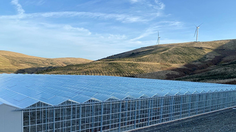 Hilltop Leaf Greenhouse