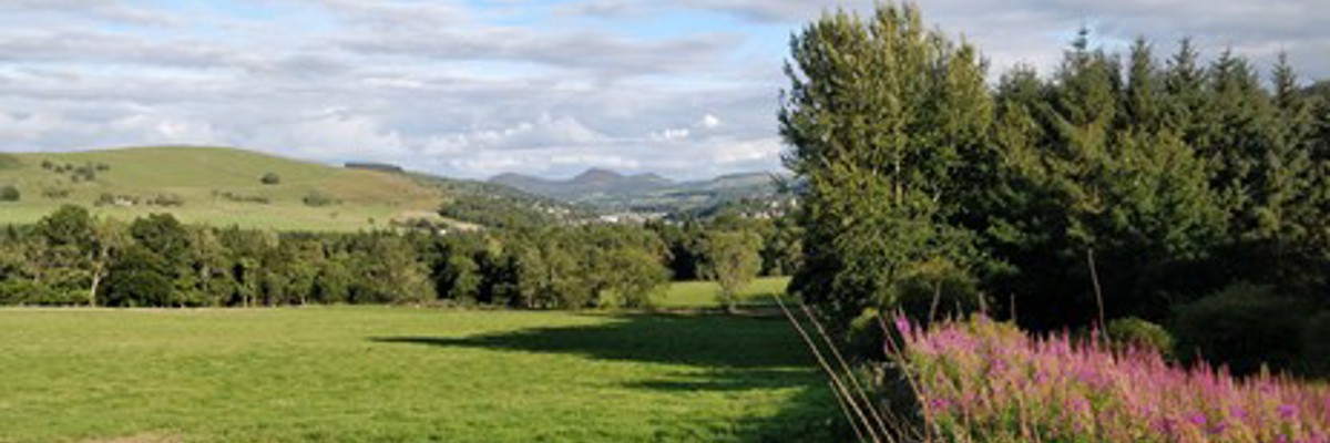 A view of Galashiels And Eildons From Torwoodlee