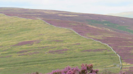 langholm moor