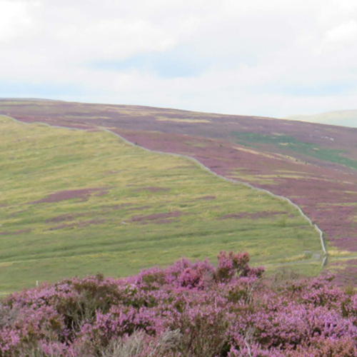 about The Langholm Initiative The Langholm Initiative